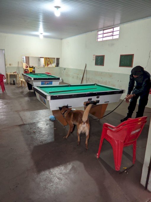 Polícia Civil deflagra operação “Boca de Cavalo”, em Caarapó