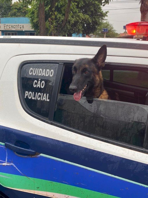 Polícia Civil deflagra operação “Boca de Cavalo”, em Caarapó