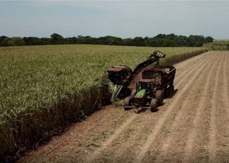Moagem da cana atinge 43,5 milhões de toneladas em MS.