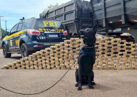 PRF apreende 210 Kg de pasta base de cocaína.