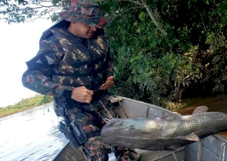 PMA  fiscaliza 20 embarcações, acampamentos e ranchos, apreende petrechos ilegais e solta pintado de 1,6 m, com barco pilotado e equipe comandada por PM feminina.