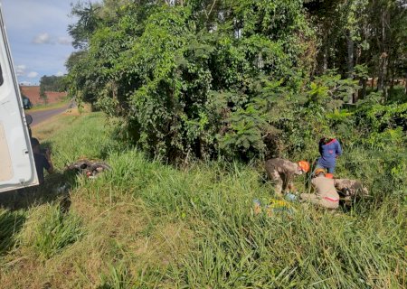 Ivinhema - Acidente na BR -376 deixa um motociclista com ferimentos graves.
