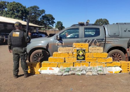 DOF apreende carro carregado com drogas.
