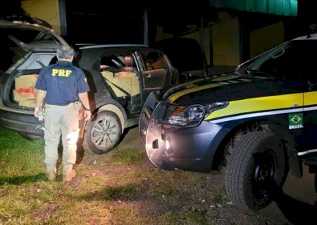 PRF apreende 393 Kg de maconha em Guia Lopes da Laguna.