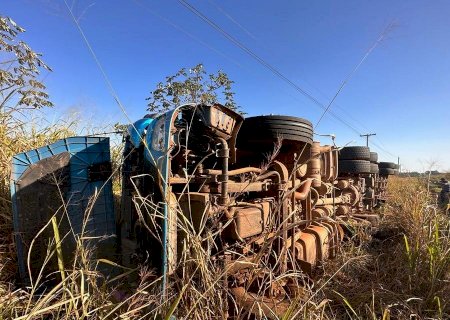 Após cochilar ao volante, condutor de carreta perde controle de direção e veículo carregado de milho tomba entre Batayporã e Anaurilândia