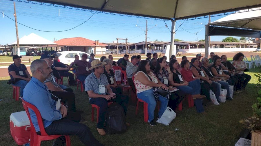 Instrutores de Ivinhema ministram curso na Oficina da Agraer na Tecnofam é esperança de aumentar produção