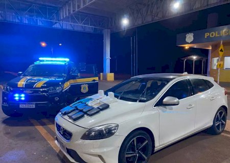 Homem é preso em rodovia com tabletes de skunk e iPhone sem nota