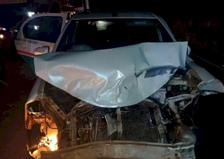 Veículo de prefeitura colide em anta na MS-040 e deixa paciente ferida