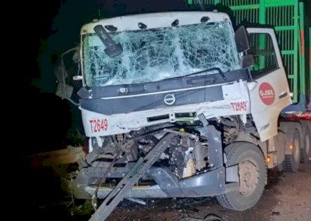 Acidente entre caminhão de eucalipto e boiadeiro, deixa motorista ferido entre Bataguassu e Santa Rita do Pardo