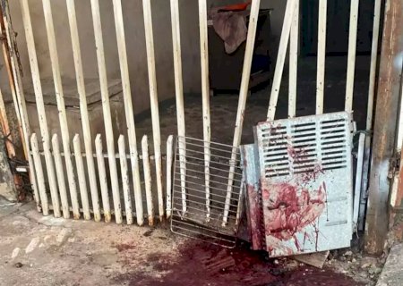 Pitbulls são mortos a tiros por PM ao atacar e matar cães