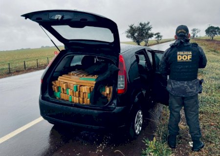 DOF apreende mais de 500 quilos de drogas e recaptura foragido da justiça