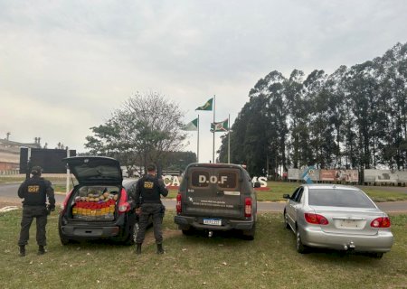 Homens que seguiam com maconha para São Paulo são presos pelo DOF