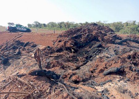 Arrendatário e autuado em mais de R$ 75.000.00 por queimada irregular, arma de fogo ilegal e contaminação do solo