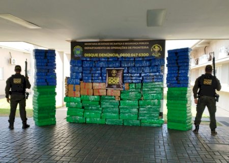 Carga milionária de maconha é apreendida pelo DOF