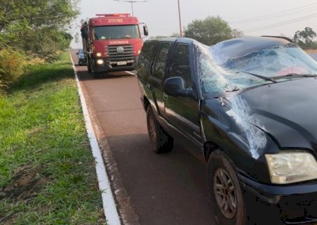 Homem perde o controle de veículo, colide com mureta e fica em estado grave