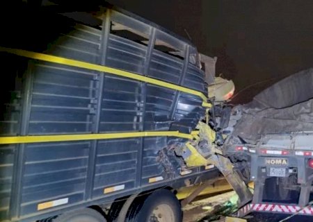 Acidente com caminhões entre Bataguassu e Santa Rita do Pardo deixa motorista ferido