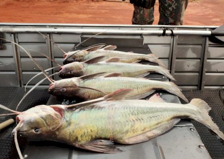 Ivinhema - PMA autua pescador em mais de R$ 1.500.00 por pesca predatória