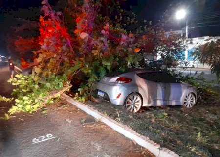 Motorista perde o controle e atinge árvore na BR-267