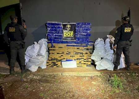 Veículo com mais de meia tonelada de maconha é apreendido pelo DOF