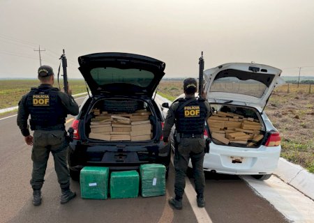 Carga milionária de maconha é apreendida pelo DOF