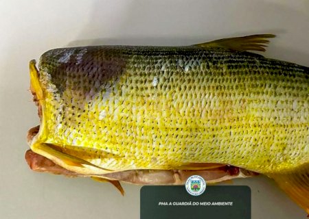 Homem é autuado por pesca predatória em rio