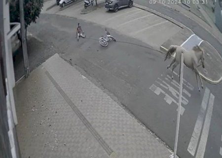 Jovem arrastado por cavalo em cidade de MS não teria tentado furtar animal