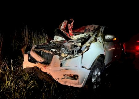 Caminhonete colide em animal na pista na MS-276, região de Batayporã