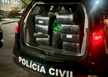 Polícia Civil apreende 250kg de maconha e prende suspeito em flagrante em Naviraí