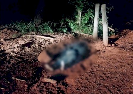 Motorista desce para abrir cerca e morre ao ser atropelado por trator
