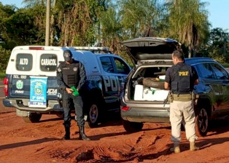 PRF e PM apreendem 783 Kg de maconha