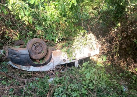 Motorista capota veículo ao desviar de capivaras na BR 060