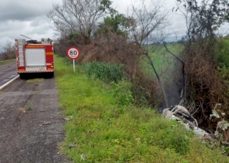Criança de 8 anos morre em acidente após carro bater em árvore e pegar fogo na BR-262