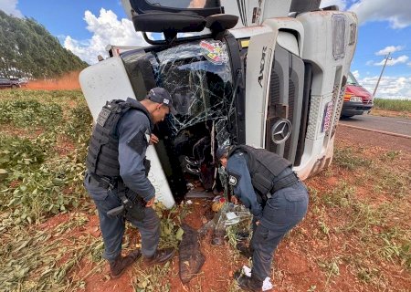 Condutor perde controle de direção e carreta carregada com gado tomba próximo ao aeródromo de Nova Andradina