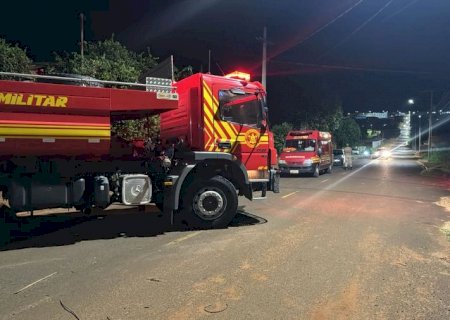 Enxame de abelhas mata cachorros e mobiliza Corpo de Bombeiros em Nova Andradina