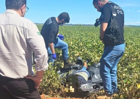Trabalhadores encontram corpo enrolado em lona em meio a plantação de soja