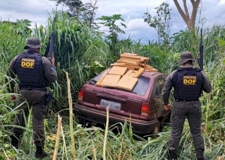Veículo com mais de 380 quilos de maconha é apreendido pelo DOF