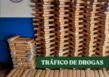 Polícia Militar apreende grande carga de drogas e suspeito é baleado após confronto