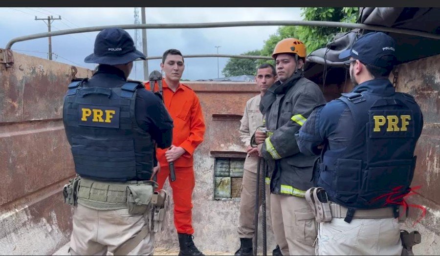 PRF apreende carga milionária de cocaína escondida em carreta bitrem; motorista preso