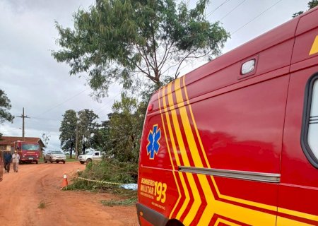 Ivinhema - Ao podar arvore, homem sofre descarga elétrica e morre