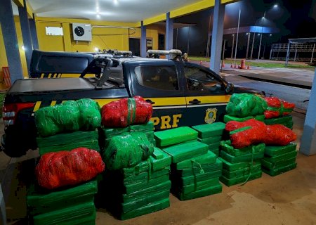 PRF apreende 1,2 tonelada de maconha e recupera caminhonete na BR-163