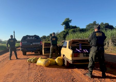 DOF apreende 350 quilos de drogas