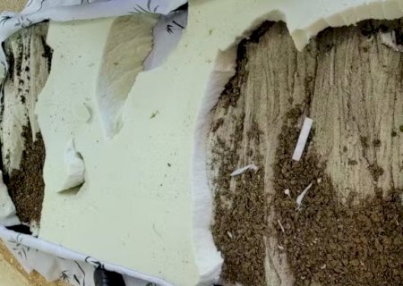 Advogada é presa tentando entrar com colchão recheado de maconha em presídio