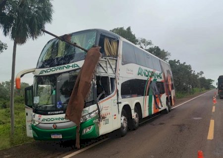 Acidente entre ônibus e caminhão deixa mortos e feridos na BR-262
