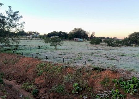 Ivinhema - Geada atinge Ivinhema e mais 14 municípios de Mato Grosso do Sul
