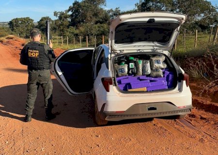 DOF apreende veículo com quase 800 quilos de drogas