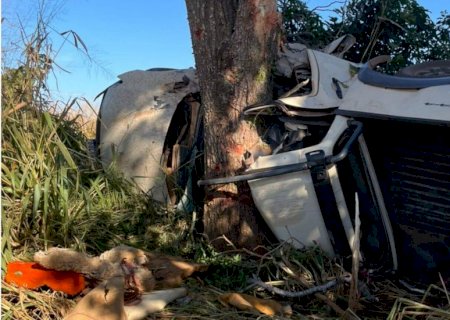 Três morrem e uma fica ferida após caminhonete colidir com árvore em MS