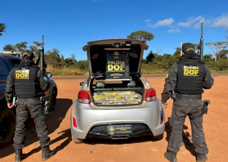 Carro com mais de 330 quilos de drogas é apreendido pelo DOF