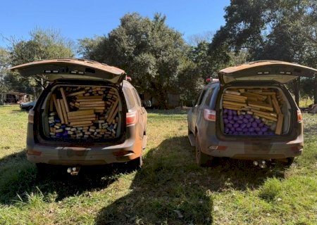 Batalhão de Choque apreende mais de 700 Kg de maconha em propriedade