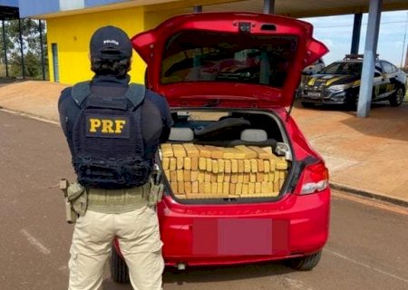 PRF apreende mais de meia tonelada de maconha e prende três pessoas