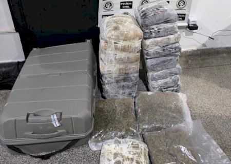 Polícia Civil prende passageira com quase 20kg de skunk em ônibus de turismo